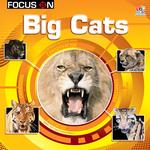 Big Cats