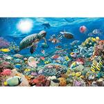 - Puzzle 5000 Piezas Mundo Submarino Ravensburger-1