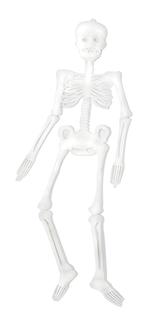 Esqueleto Fluorescente