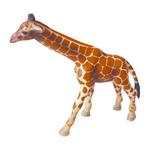 Fw Jirafa Pequeña / Little Giraffe
