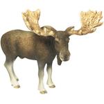 Fw Alce / Moose Bull