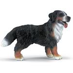 Fc Bemese De La Montaña/bemese Mountain Dog