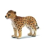 Fw Guepardo Bebé / Baby Guepard