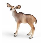 Fw Cria Kudu/kudu Calf