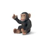 Fw Chimpancé Bebé / Baby Chimpanzee