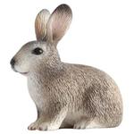 Ff Conejo Salvaje / Wild Rabbit