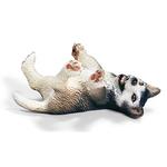 Fc Husky Cachorro Tumbado/husky Puppy, Lying