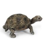 Fw Tortuga Joven Gigante/young Giant