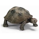 Ffa Tortuga Gigante/gigant Turtle