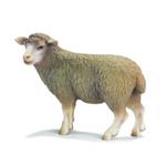 Ffa Oveja Levantada/sheep Standing