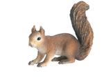 Ff Ardilla / Squirrel