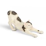 Ffa Gato Estirandose/cat Stretching