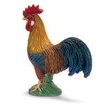 Ffa Gallo/rooster