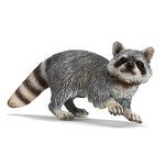 Ff Mapache/raccoon