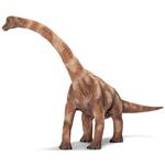 Ed Brachiosaurius / Brachiosaurio