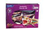 Scientific Tools Anatomía Tiburón 4d-1