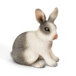 Ffa Conejo Sentado/ Rabbit Sitting