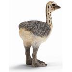 Fw Avestruz Cria/ostrich Chick