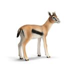 Gacela. Schleich