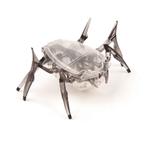 Hexbug Escarabajo-4