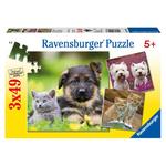 Puzzle Perros Y Gatos