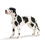 Gran Danés Hembra. Schleich