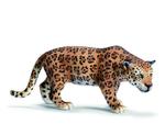 Fw Leopardo / Leopard