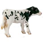 Ffa Ternero Holstein/holstein Calf