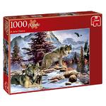 Puzzle Jumbo 1000 Piezas (varios Modelos)-1