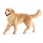 Perro Golden Retriever Hembra